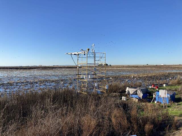 The field has been flooded for winter.