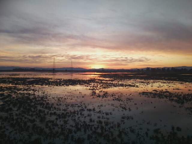 Nice sunset at low tide