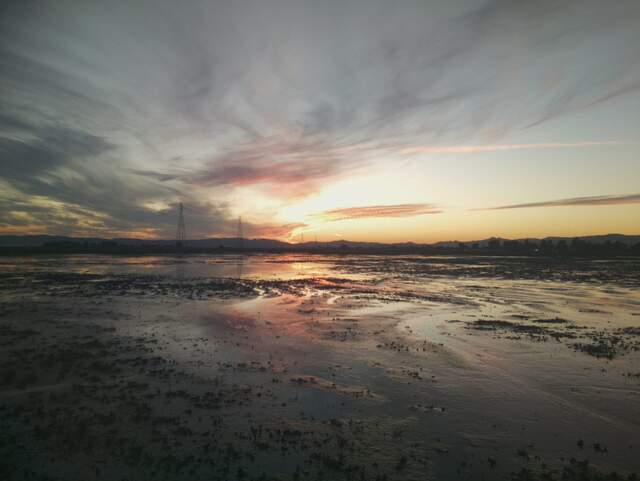Nice sunset at low tide