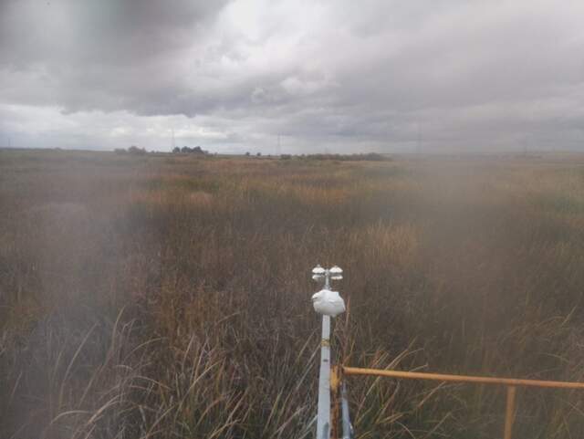 Snowy egret on radiometer boom