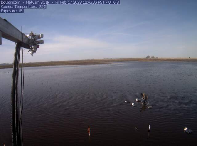 Charlotte setting up chambers on flooded field