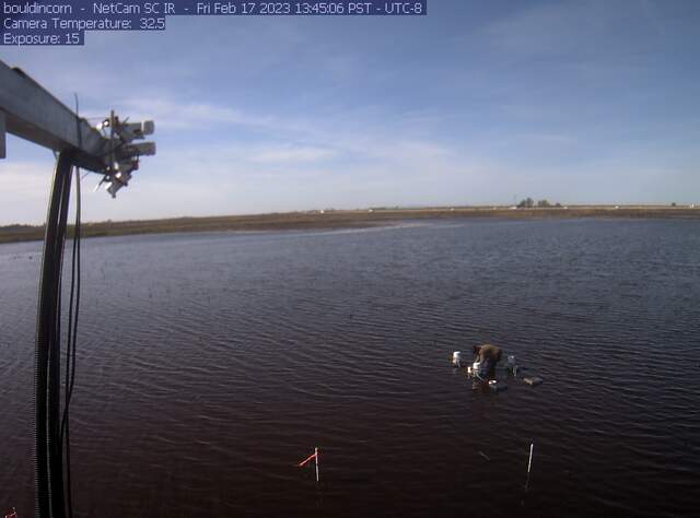 Charlotte setting up chambers on flooded field