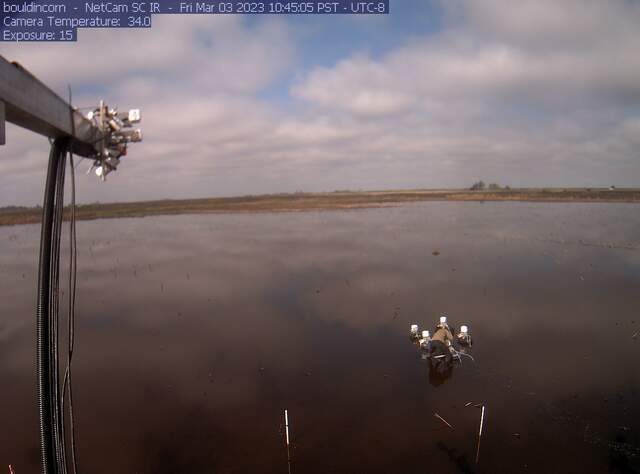 Charlotte setting up chambers on flooded field