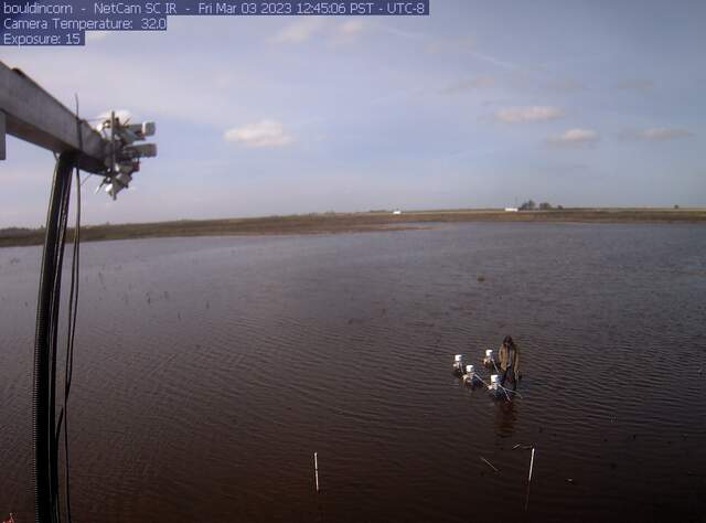 Charlotte setting up chambers on flooded field