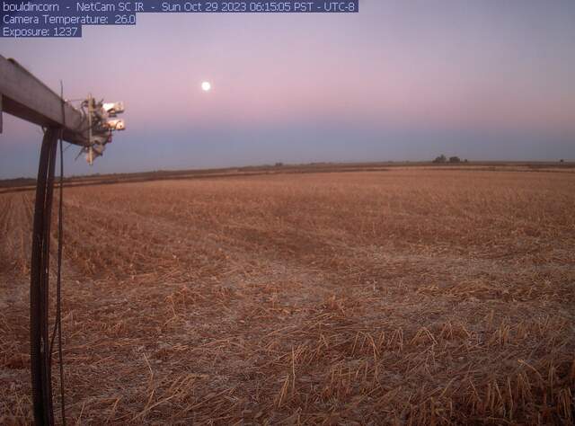 Dawn moon over fallow field
