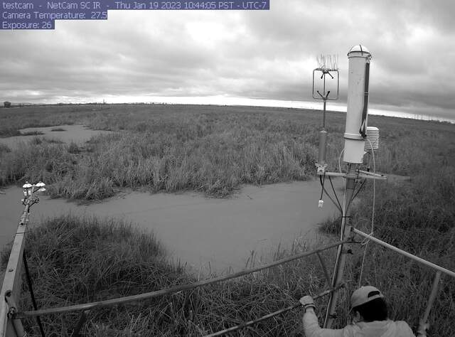 Daphne on site in near IR