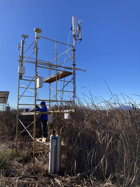 Daphne calibrating the 7700 CH4 analyzer.