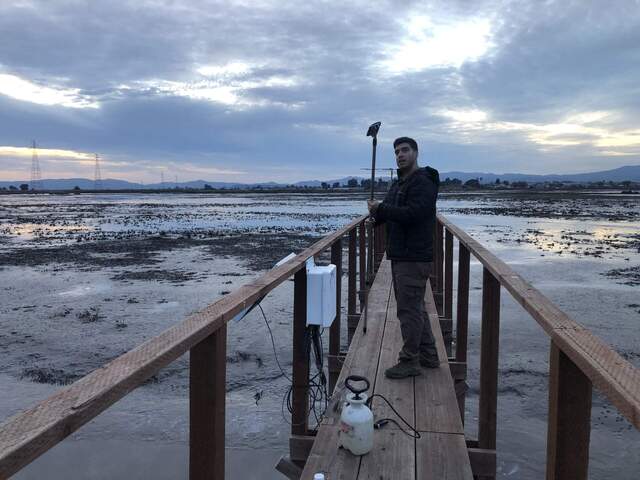 Arman using the telescoping scrubber to clean the staff gauge by the Hill Slough channel