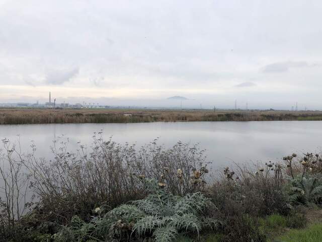 Fog obscuring the bottom of Mt. Diablo