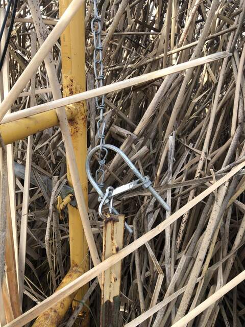 When the turnbuckle broke during the previous site visit, we created tension between the chain and the fence post using a long u-bolt and a carabiner