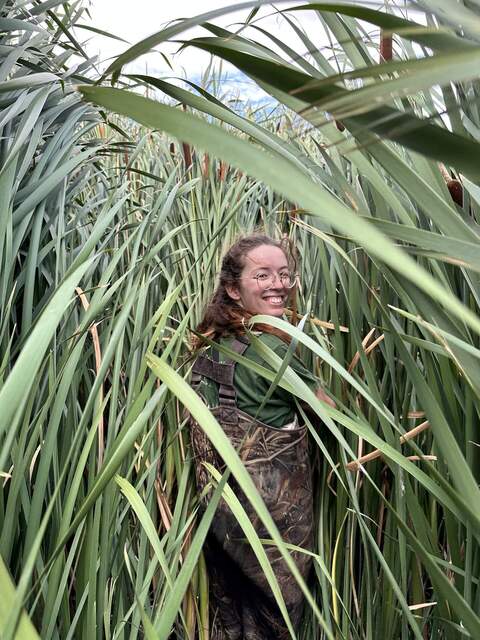 Irene among the cattails. We are trying to relocate HSM_8 to take its GPS point.