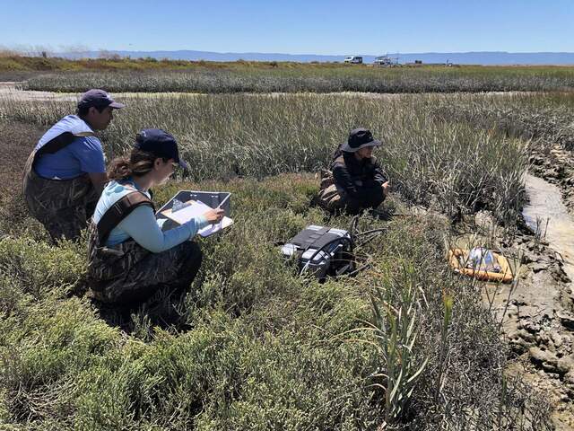 Ramon, Inbar, and Dem taking a chamber CH4 flux sample at Eden Landing for the first day of the chamber campaign 