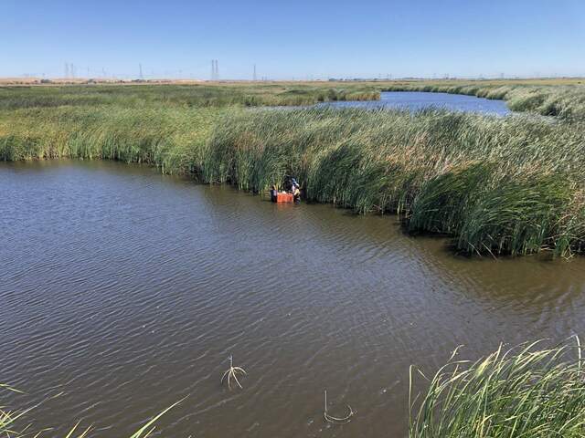 Hannah, Kyle, and Maoya sampling CH4 fluxes at Mayberry