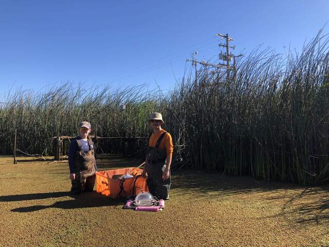 Hannah and Charlie taking sample B1 at Gilbert Tract during the last day of the chamber campaign. They are recording open water CH4 fluxes. 