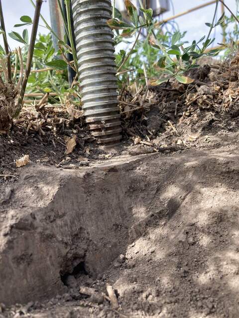 Scaffolding foot and ground level before moving the alfalfa tower