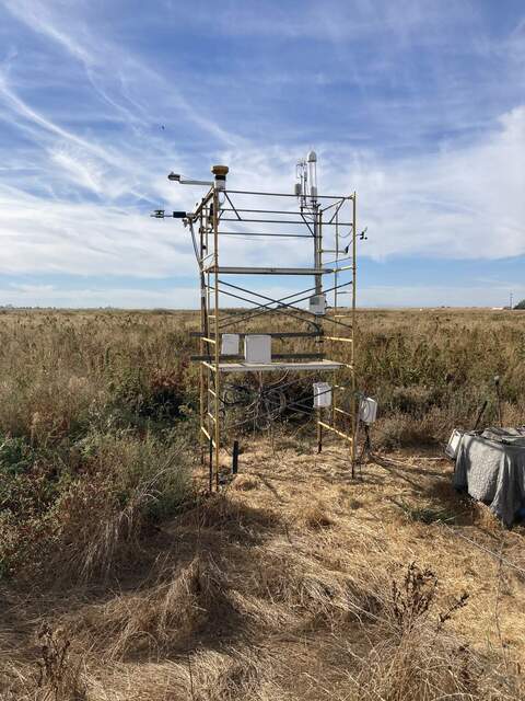 The tower moved back from the sorghum for harvest