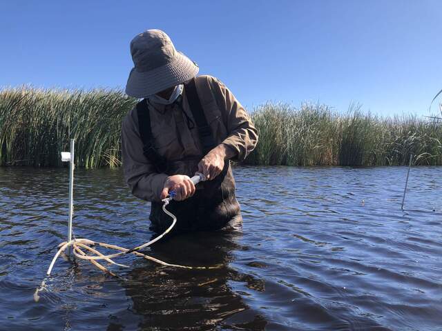 Arman sampling one of the open water porewater sippers