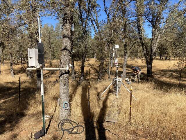 New tree trunk temperature logger, Floor eddy flux and Kuno doing chamber fluxes.