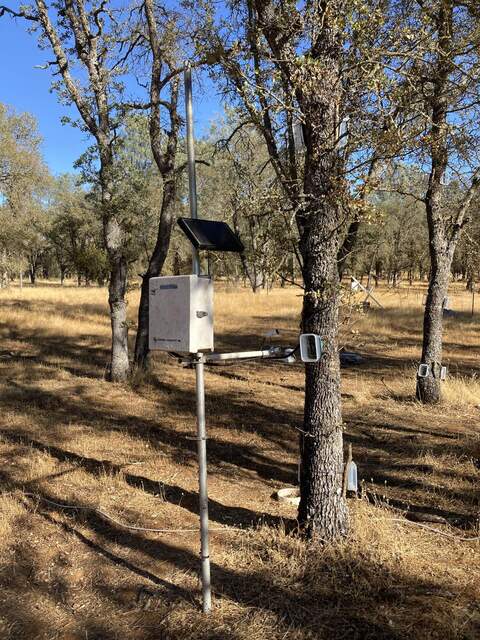 New temperature sensors added to tree trunk chamber measurements