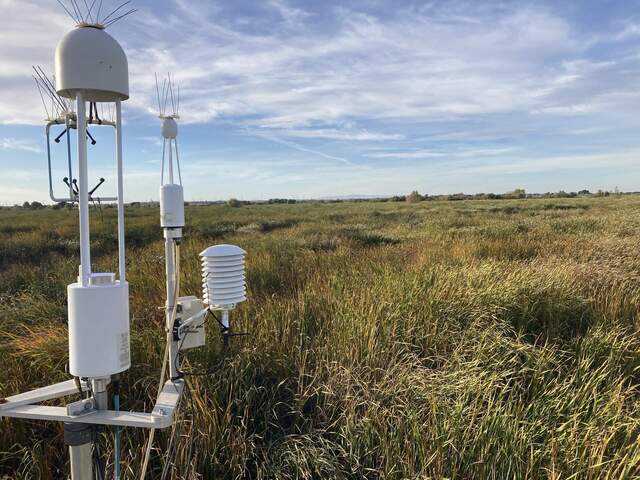 View on the eddy sensors and upwind wetland from the tower top