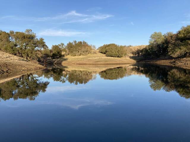 Reflections in the pond at Vaira