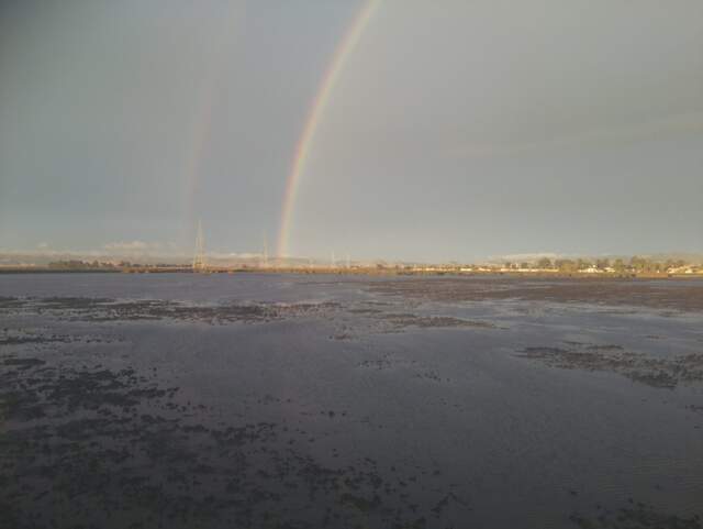 Nice double rainbow over the wetland