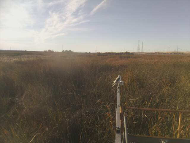 White tailed kite on the radiometer boom