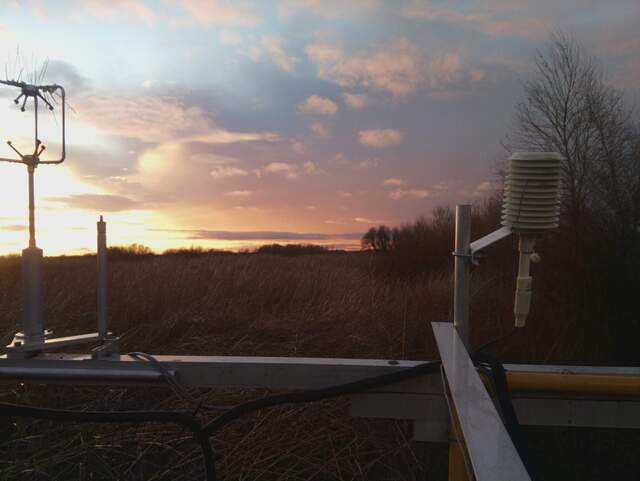 Beautiful sunset over the wetland