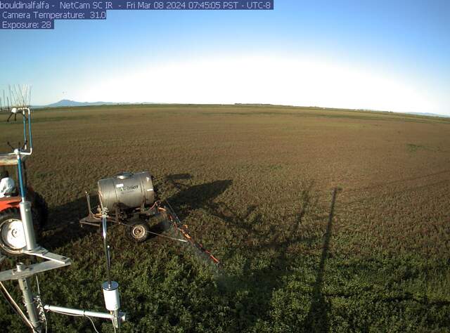 Tractor spraying the alfalfa field