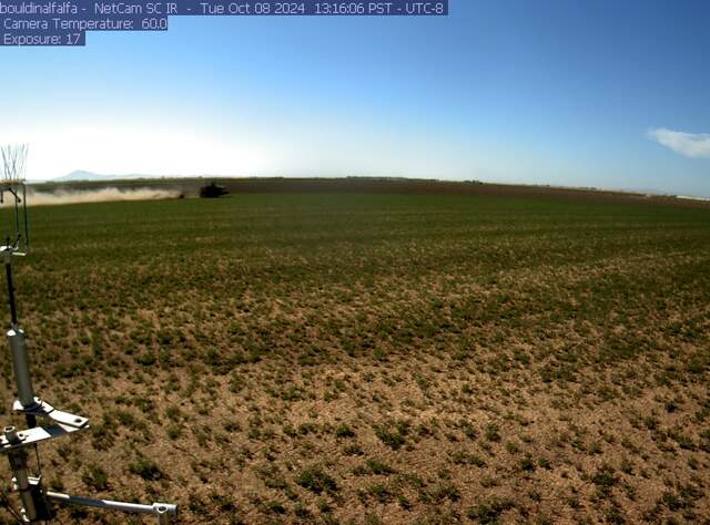 Tractor beginning to plow the alfalfa for replanting