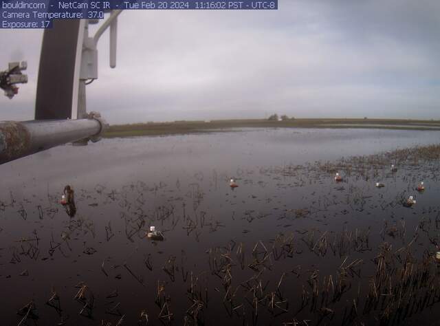 Charlotte working on chambers in flooded field