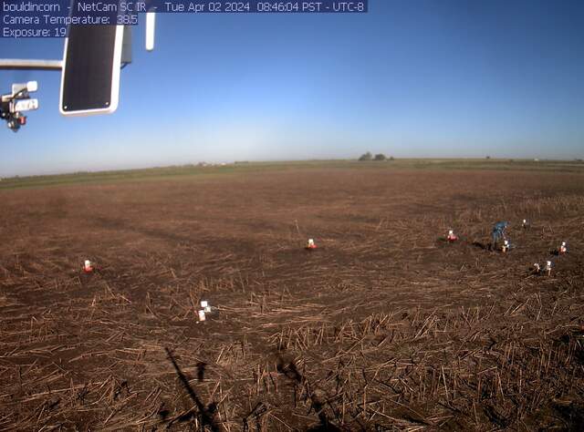 Charlotte working on chambers in drained field