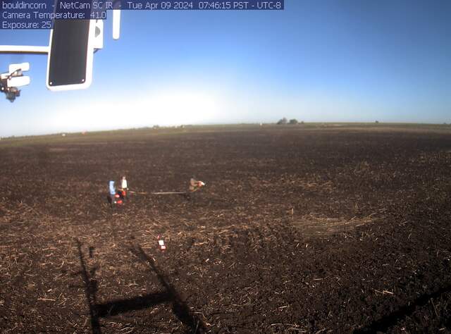 Charlotte and others working on chambers in tilled field