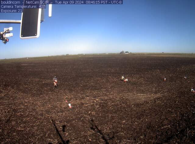 Charlotte and others working on chambers in tilled field