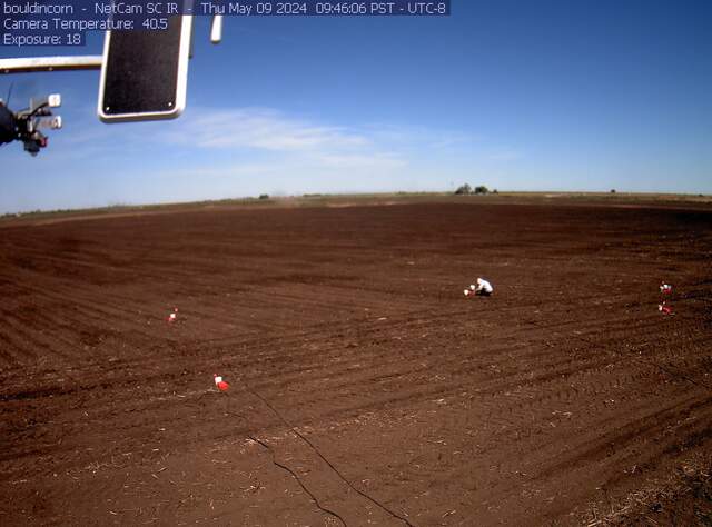 Charlotte working on chambers in tilled field