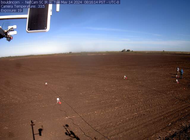 Charlotte working on chambers in tilled field