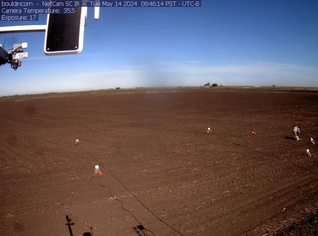 Charlotte working on chambers in tilled field