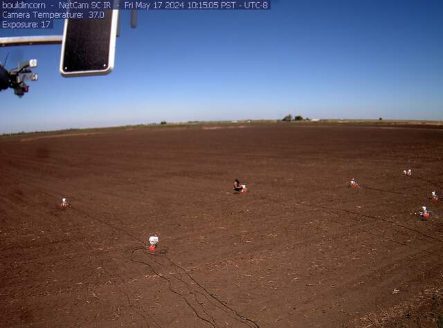 Charlotte working on chambers in tilled field