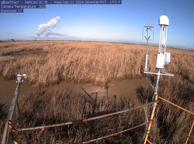 Steam plumes to the west of the wetland