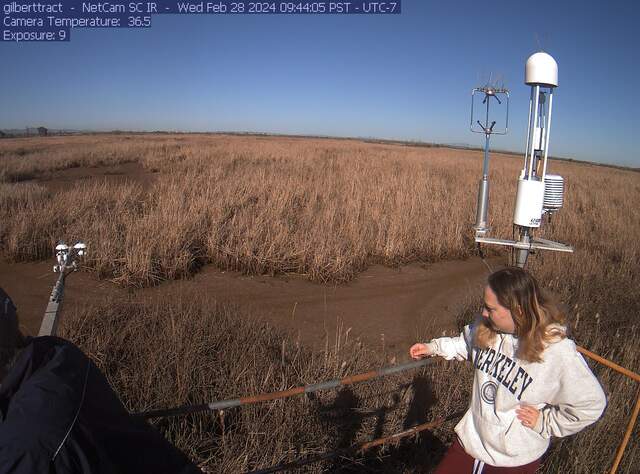 Visitors on the GT tower