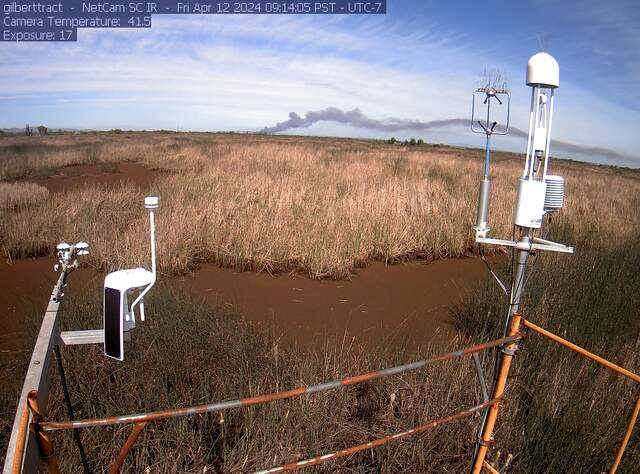 Undulating smoke plume to the west