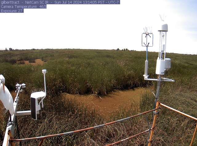 Great white egret on the radiometer boom