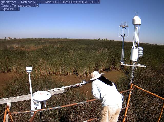 Daphne cleaning radiometers