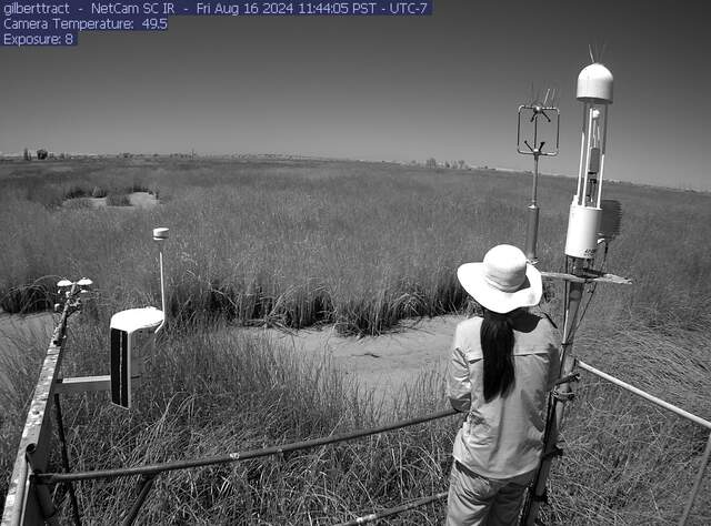 Daphne working on tower in IR