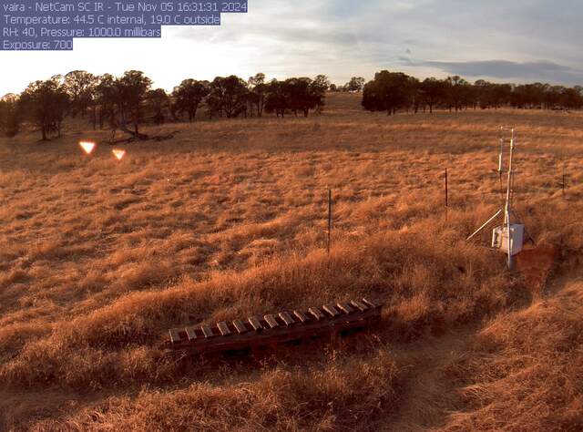 Nice evening light on the cow pasture