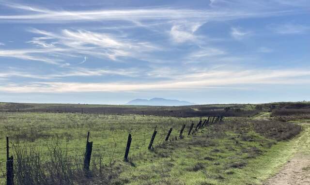 view of field site