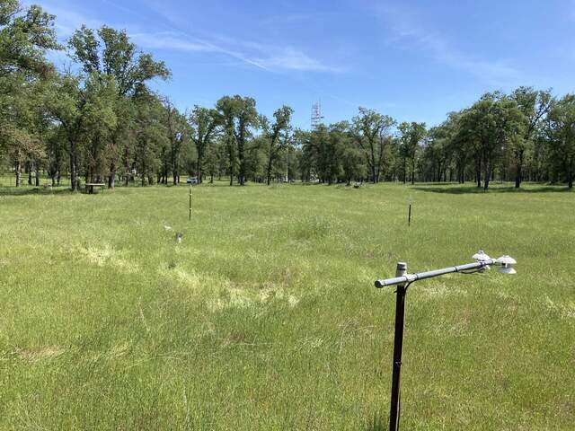 View of the Tonzi oak savanna in spring