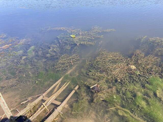 Channel water sensors visible at low tide