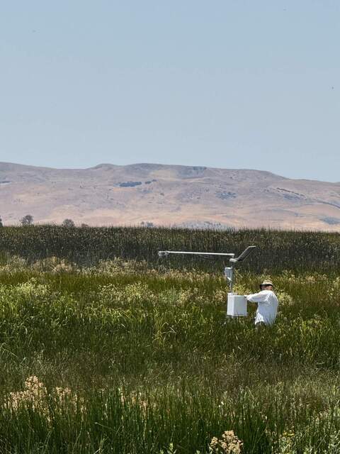 Joe checking on the remote tower in the marsh