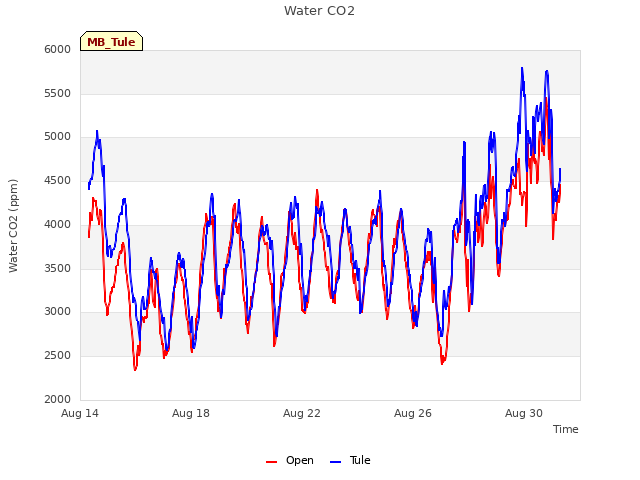 Explore the graph:Water CO2 in a new window